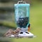 Perky-Pet Perky-Pet Wild Bird 1 lb Glass/Steel Mason Jar Bird Feeder 8 ports 784 - alternate 5